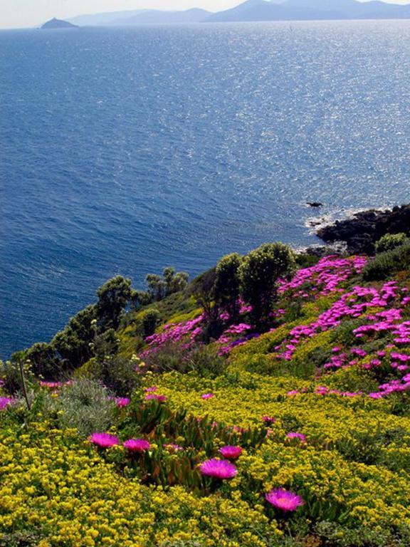Hotel Roma Piombino Kültér fotó